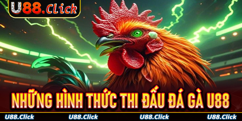 Những hình thức thi đấu đá gà U88 được yêu thích nhất