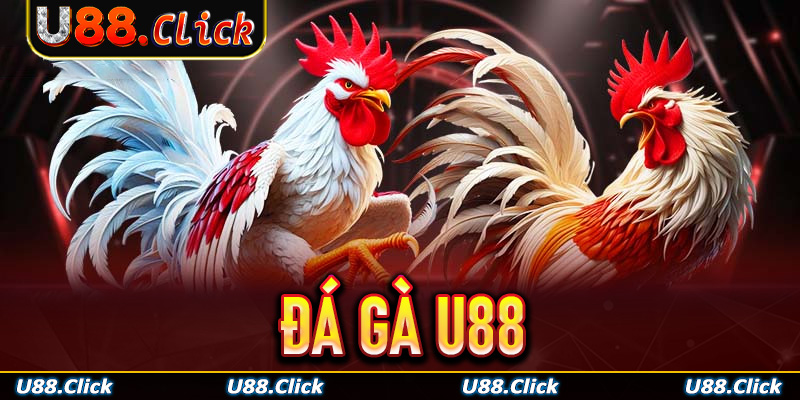 Đá gà U88